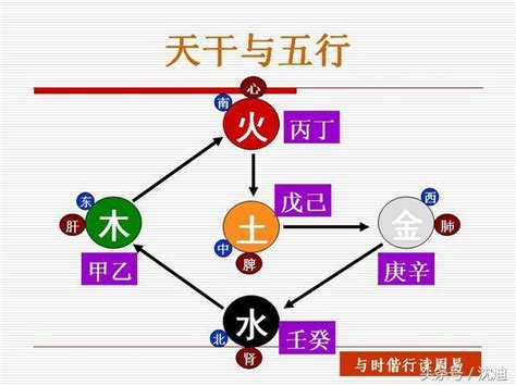 甲木丁火|「丁火」离不开甲与庚，细说春夏「丁火」的气数，气数方能定喜。